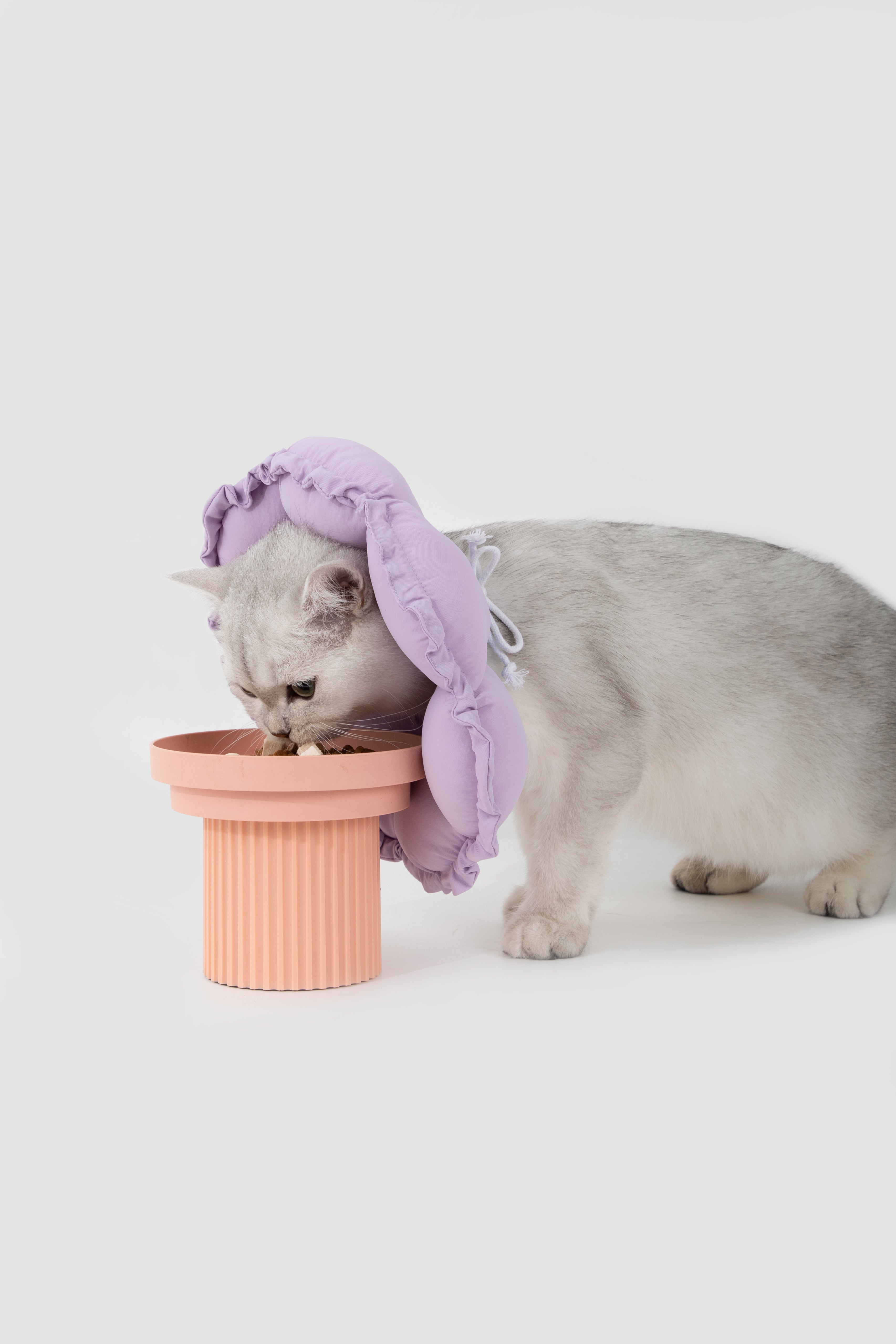 Adjustable Elizabeth Collar