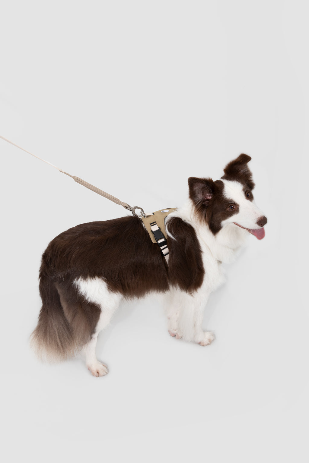 Pressure-Relieving Dog Harness