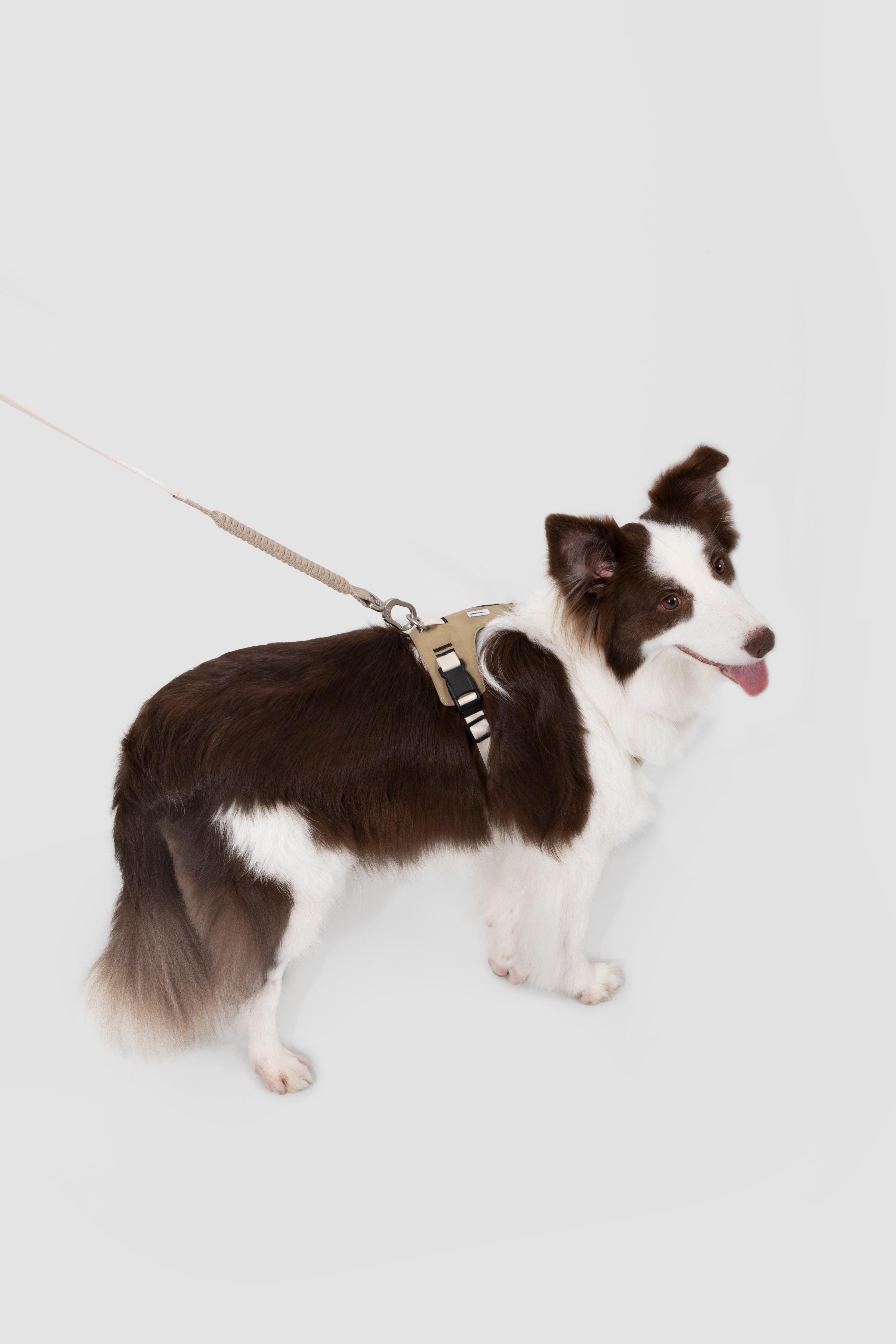Pressure-Relieving Dog Harness