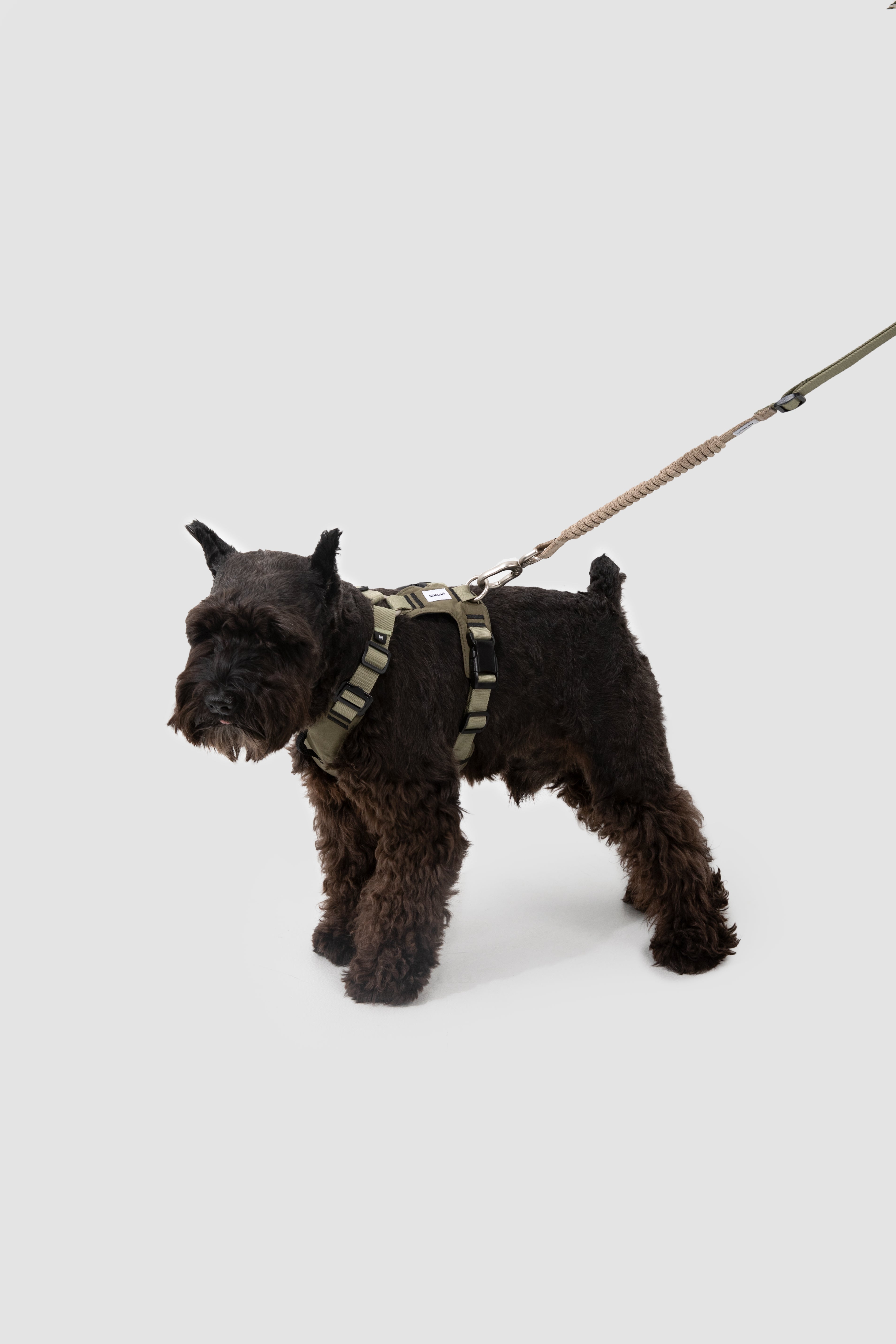 Pressure-Relieving Dog Harness