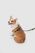 Pressure-Relieving Dog Harness