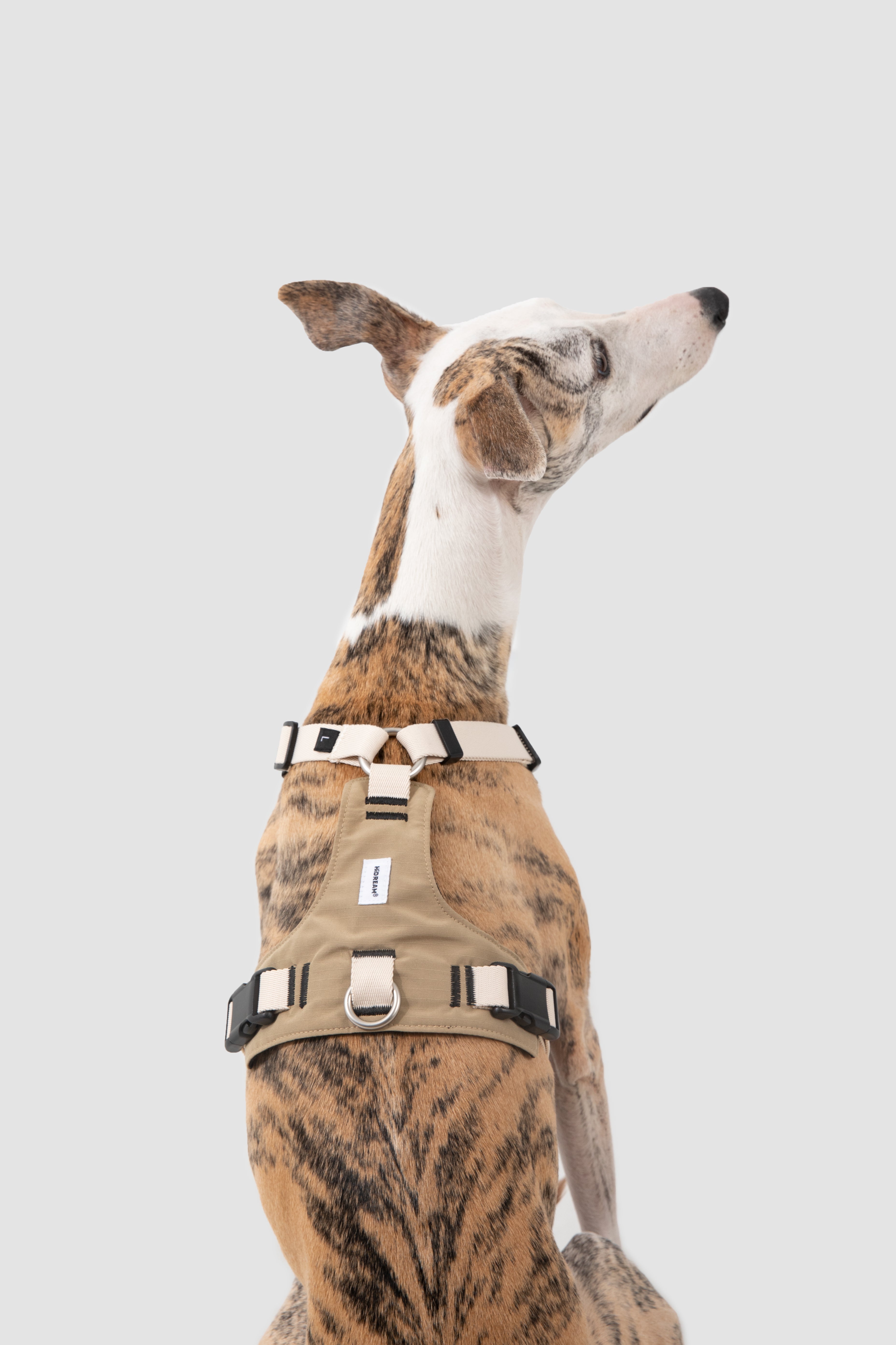 Pressure-Relieving Dog Harness
