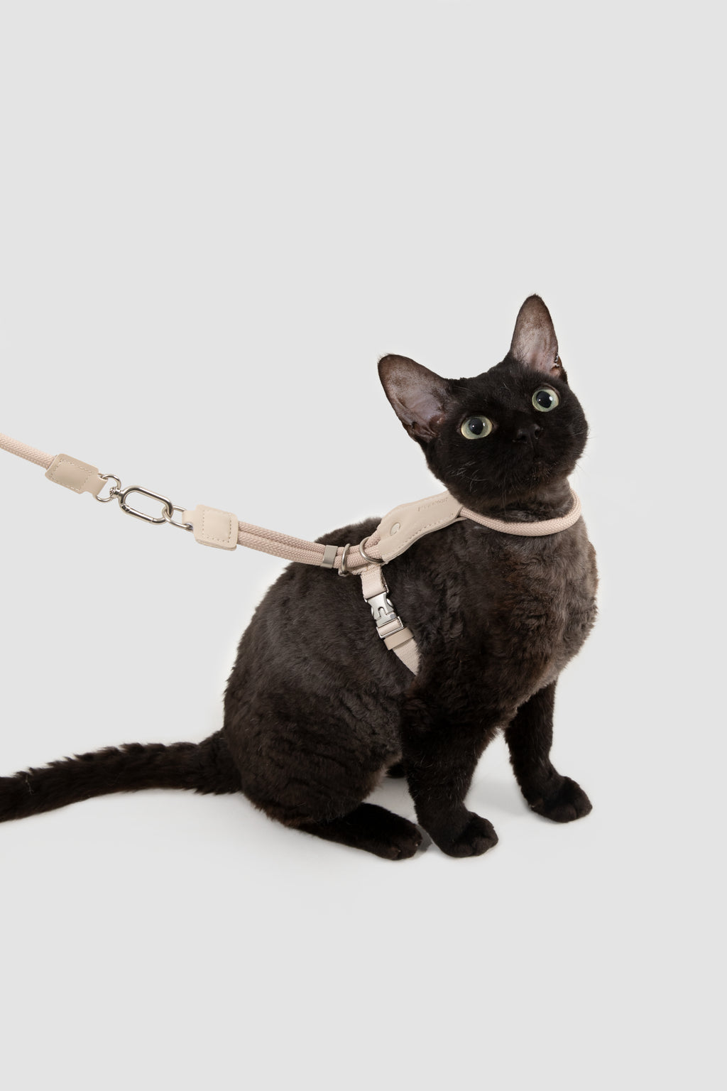 Cat Chest Harness and Leash Set