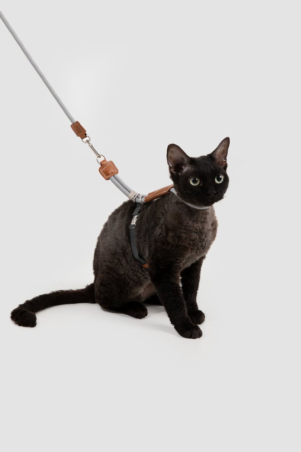 Cat Chest Harness and Leash Set