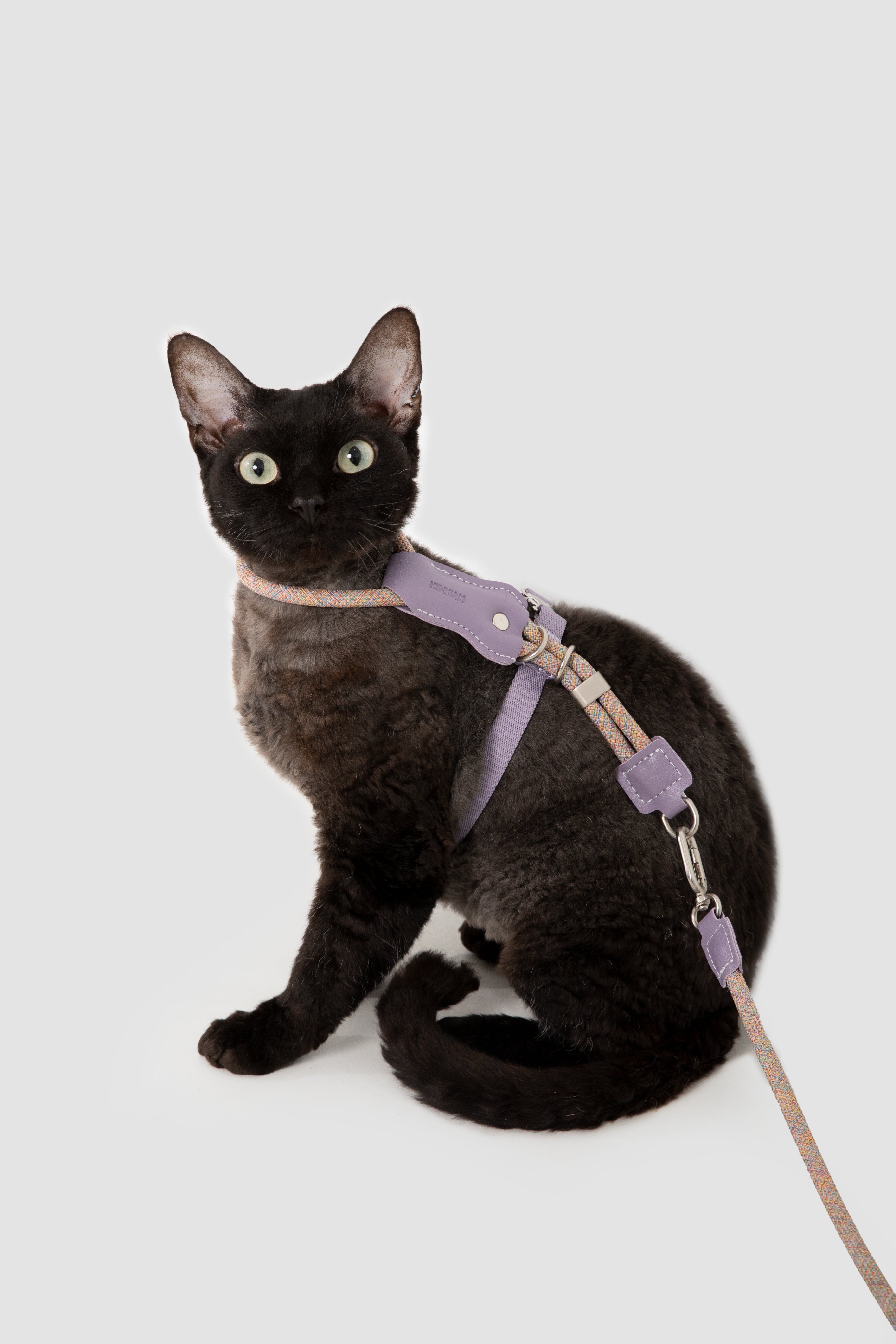 Cat Chest Harness and Leash Set