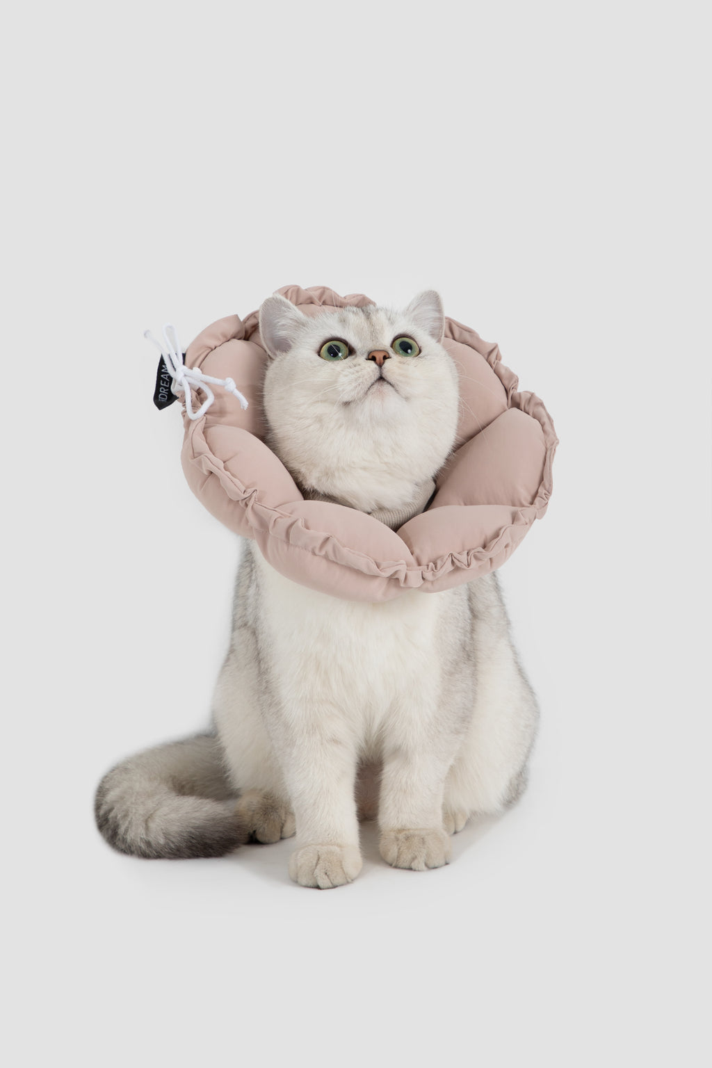 Adjustable Elizabeth Collar