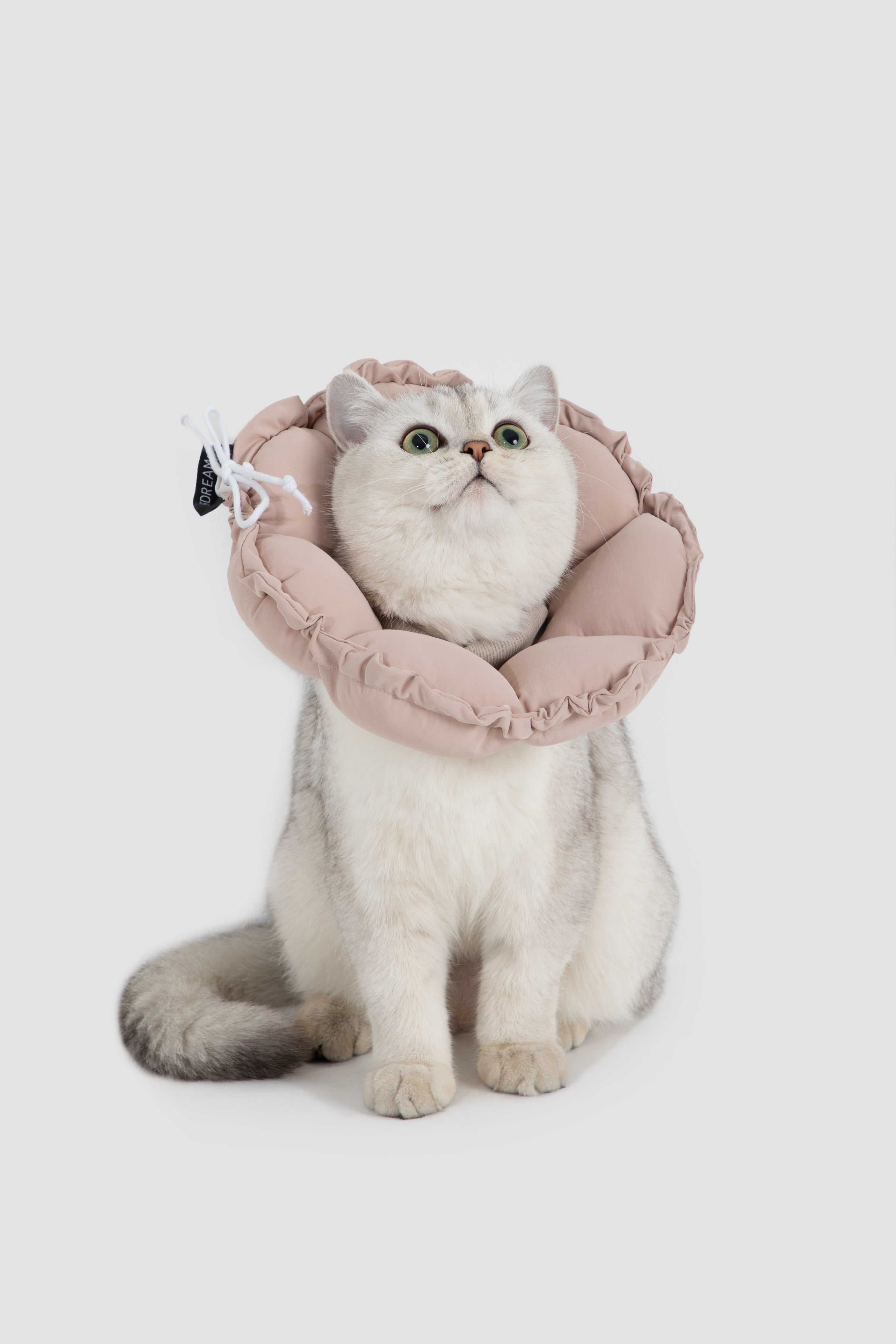 Adjustable Elizabeth Collar