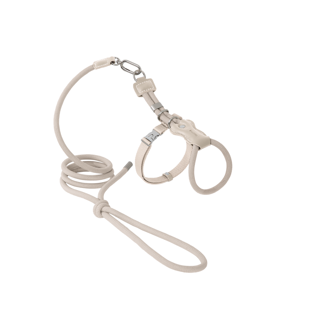 Cat Chest Harness and Leash Set